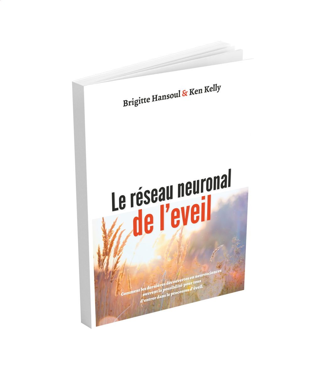 Le réseau neuronal de l'éveil - Ebook Le réseau neuronal de l'éveil - Ebook
